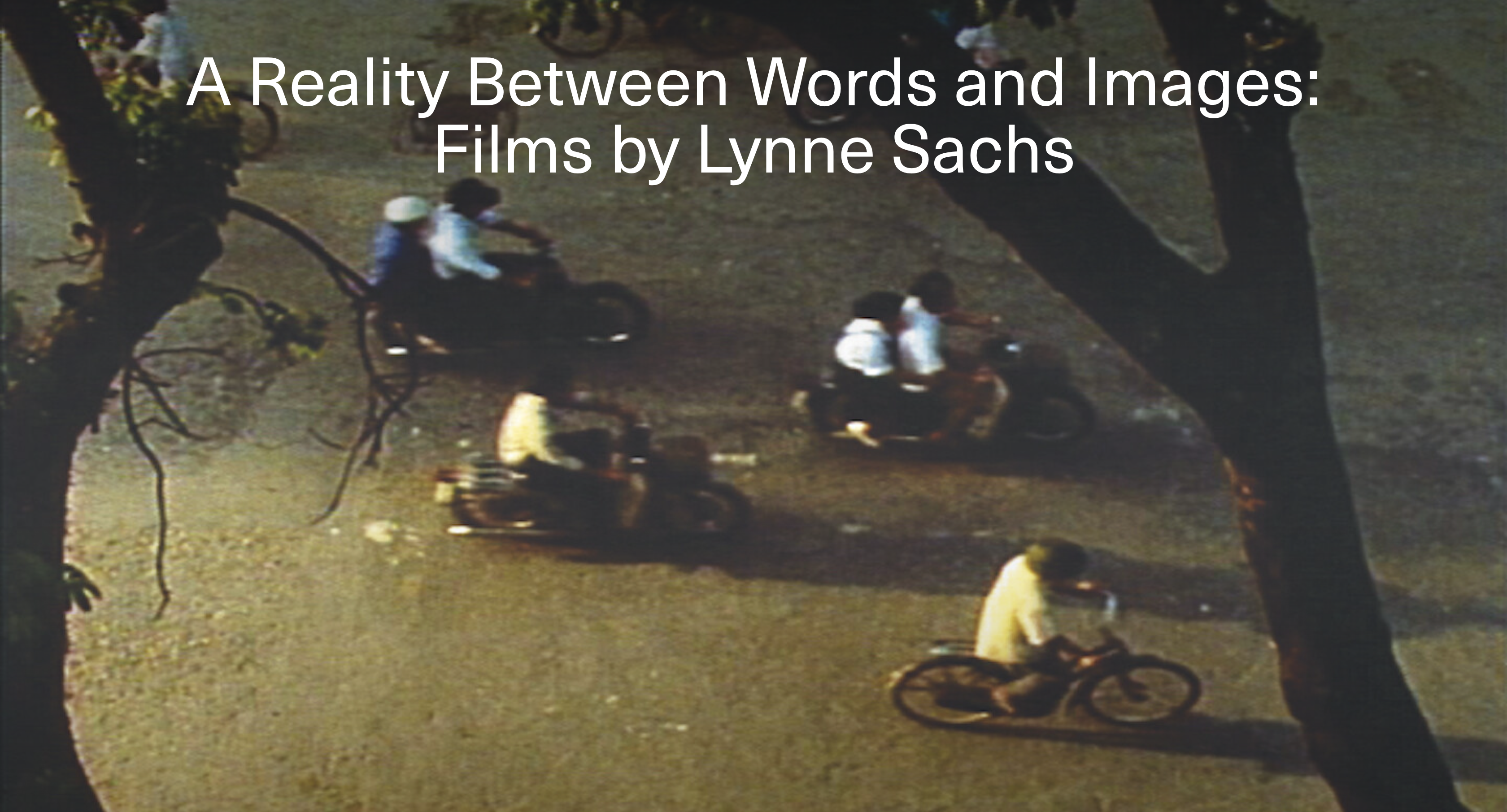 Figure and I | Lynne Sachs: experimental documentary filmmaker